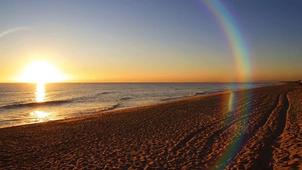 NLP for Motivation: Why Willpower Keeps Failing